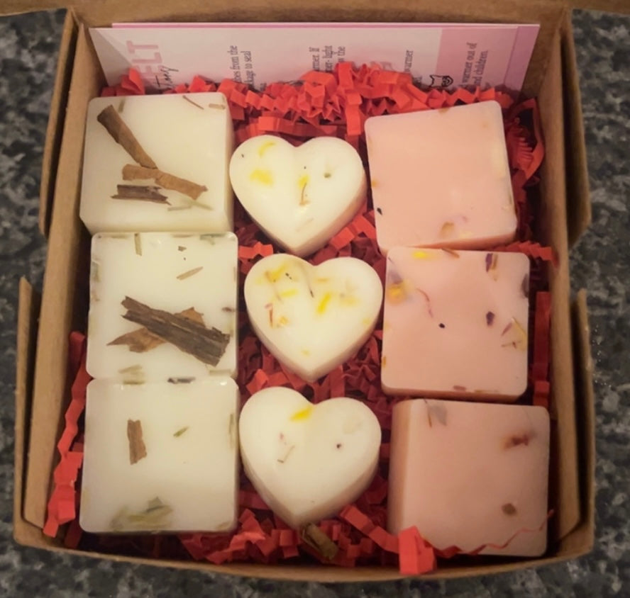 Sampler Wax Melt Gift Box