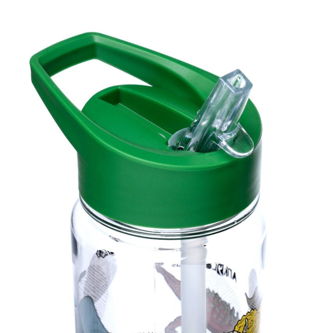 Reusable Shatterproof Water Bottle 550ml - Dinosauria