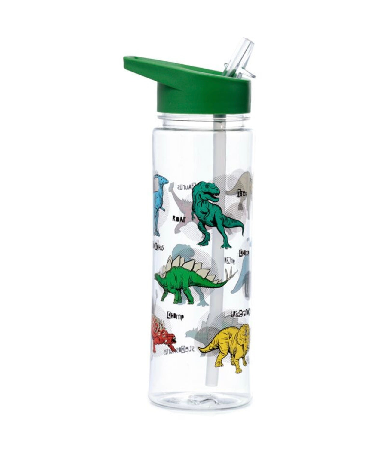 Reusable Shatterproof Water Bottle 550ml - Dinosauria