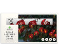 10 Solar Ladybird String Lights