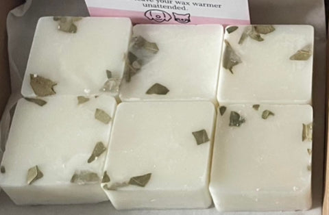 Botanical Rapeseed & Coconut Wax Melts (6) Choose your Scent